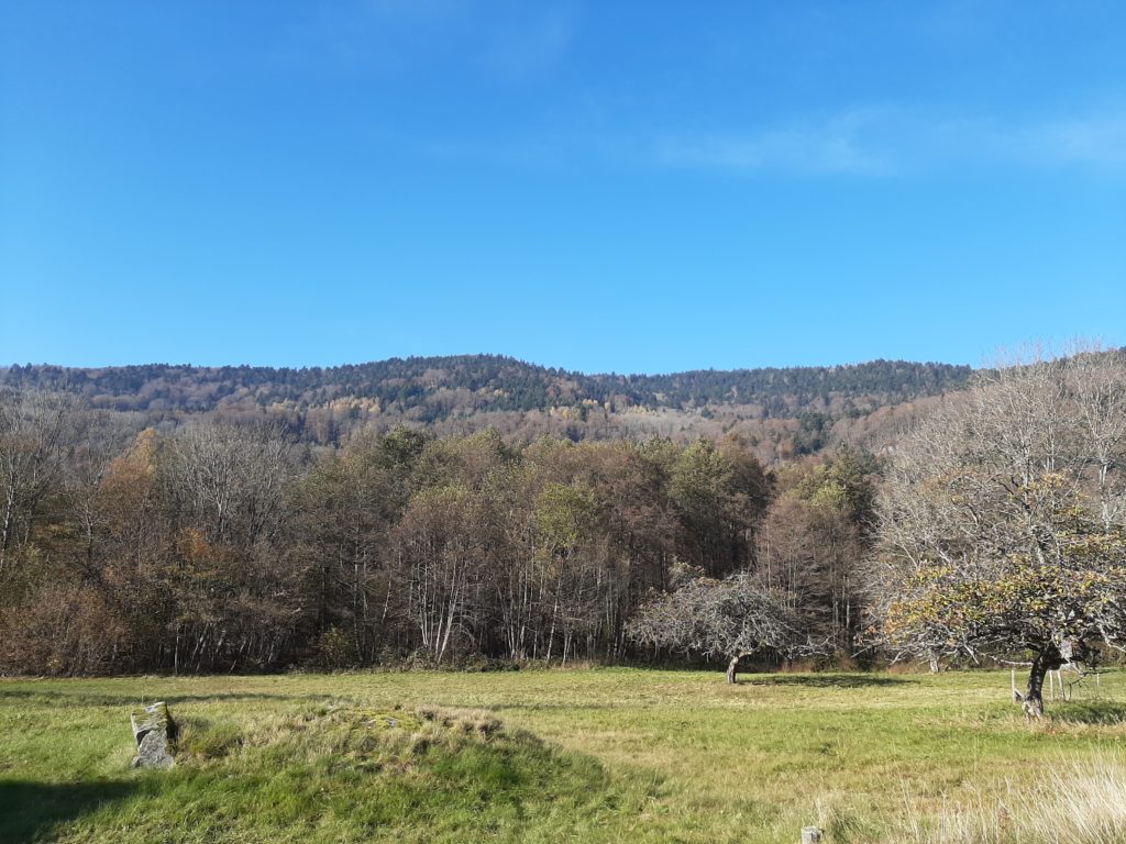 Sous ces terres, des mineurs ont creusé des siècles durant. 